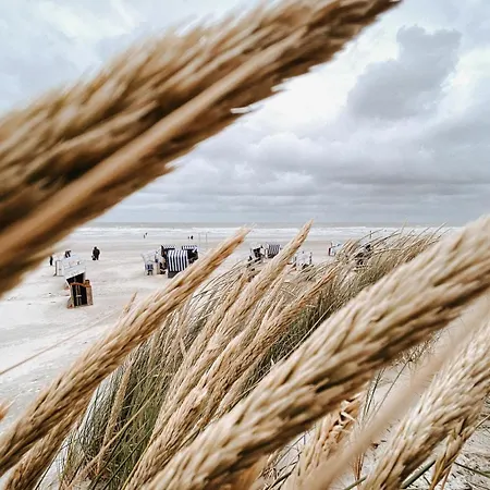 Nordstrandperle Ap H4 Norderney