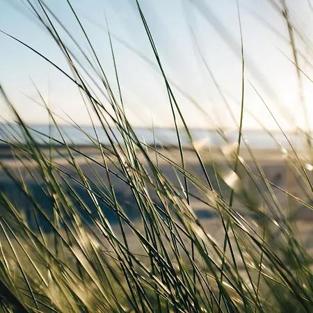 Apartment Nordstrandperle Ap H4 Norderney